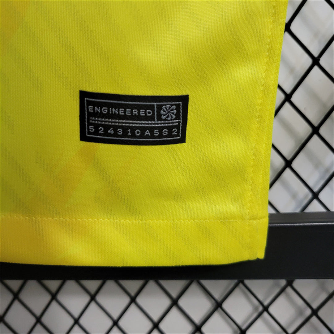 Kit Canard Jaune Brésil